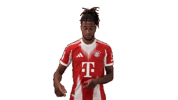 Fc Bayern Football Sticker by Bundesliga