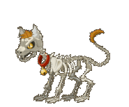 angry cat STICKER
