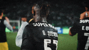 Soccer GIF by Sporting CP