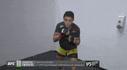 Jessica Andrade Sport GIF by UFC