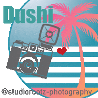 studiorootz-photography curacao dushi fotograafcuracao studiorootz Sticker