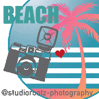 studiorootz-photography curacao fotograafcuracao berbervanbeek studiorootz Sticker