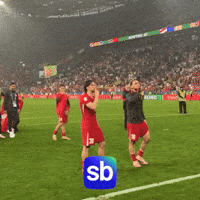 Millitakim GIF by Sporbulteni