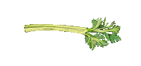French Vegetables Sticker by G's Fresh