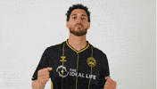 Usl Championship Soccer GIF by Charleston Battery