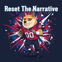 Shiba Inu Football GIF by Doge Pound