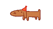Its Time To Party Dog Sticker