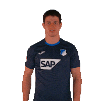 Sport Bundesliga Sticker by TSG Hoffenheim