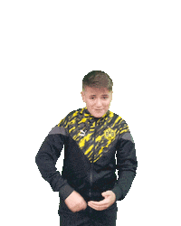 Efootball Eldin Sticker by Borussia Dortmund