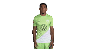 Like A Boss Deal With It Sticker by VfL Wolfsburg