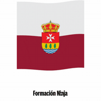 Castilla Y Leon Flag GIF by Formación Ninja