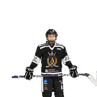 alfahockey хоккей хоккеист альфа хоккейспб Sticker