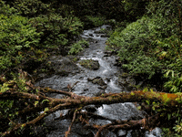 Die Varia Gruenderfiebel GIF by FranchiseONE.de