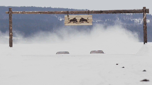 finish line snow GIF by Red Bull