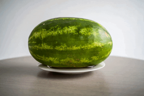 Post_Bulletin giphygifmaker GIF