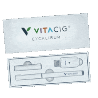 Excalibur Sticker by Vitacig