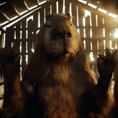 [Image: giphy.gif]