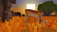 Thanks Deer