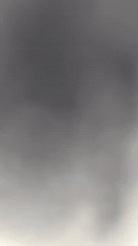 Crk Cookierun GIF by Youtooz