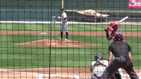 jaketweedie giphygifmaker GIF