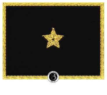 5Dan Sticker by Barreto Taekwondo