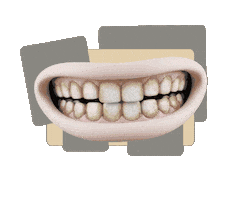 Sticker by Petry Ortodontia