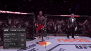 Mixed Martial Arts Sport GIF by UFC