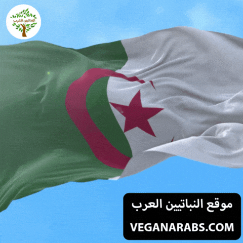 Algeria Flag GIF by VeganArabs