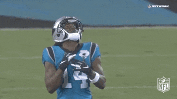 Regular Season Football GIF by NFL