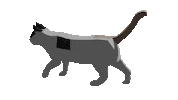 RevoCult cat parkour freerunning revo Sticker