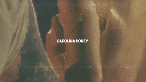 New Music Carolina GIF by Marcus King