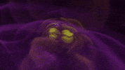 merging european space agency GIF