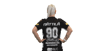 Floorball Salibandy Sticker by F-liiga