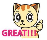 Cat Ok GIF by JPedicini