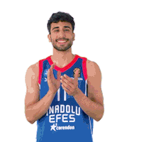 Happy Basketball Sticker by Anadolu Efes SK