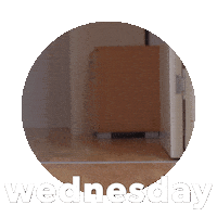 Wednesday Hump Day Sticker by Sealed With A GIF