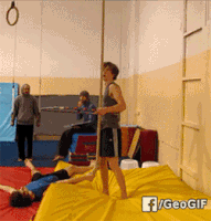 GIF by Demic