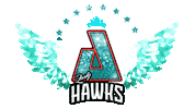 Cheer Wings Sticker by AirbornAllstars