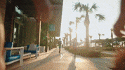Travel Luxury GIF by Cavalier Resort Virginia Beach