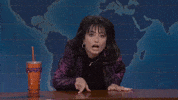 Snl Sarah Sherman GIF by Saturday Night Live