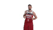 Liga Endesa Basketball Sticker by ACB