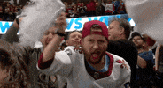 Happy Ice Hockey GIF by NHL