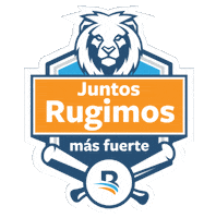Pelota Invernal Sticker by Banreservas