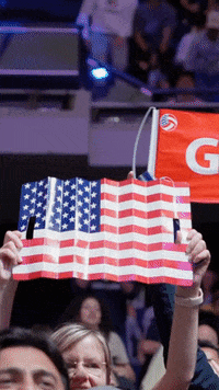 American Love GIF by Volleyball World