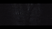 Loop Tree GIF by Mindblind