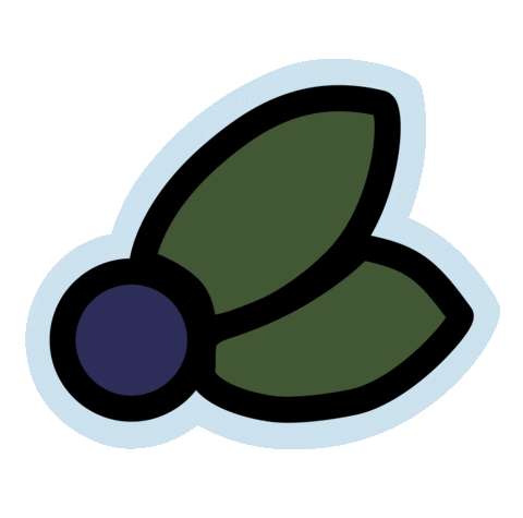 aaniinshop giphyupload blueberry miin aaniin Sticker