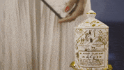 Candle Flame GIF by Harlem Candle Co.