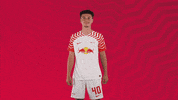 Oh Yeah Yes GIF by RB Leipzig