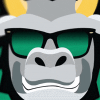 Logo Usf GIF by SoFloBulls
