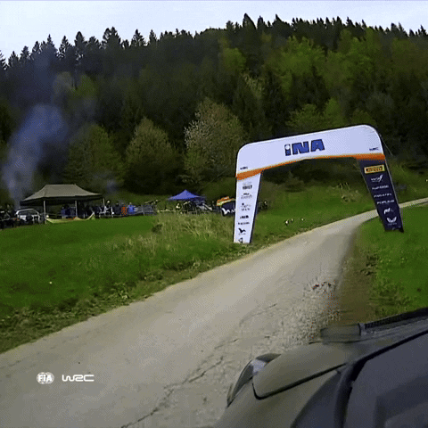 Hit Oops GIF by FIA World Rally Championship